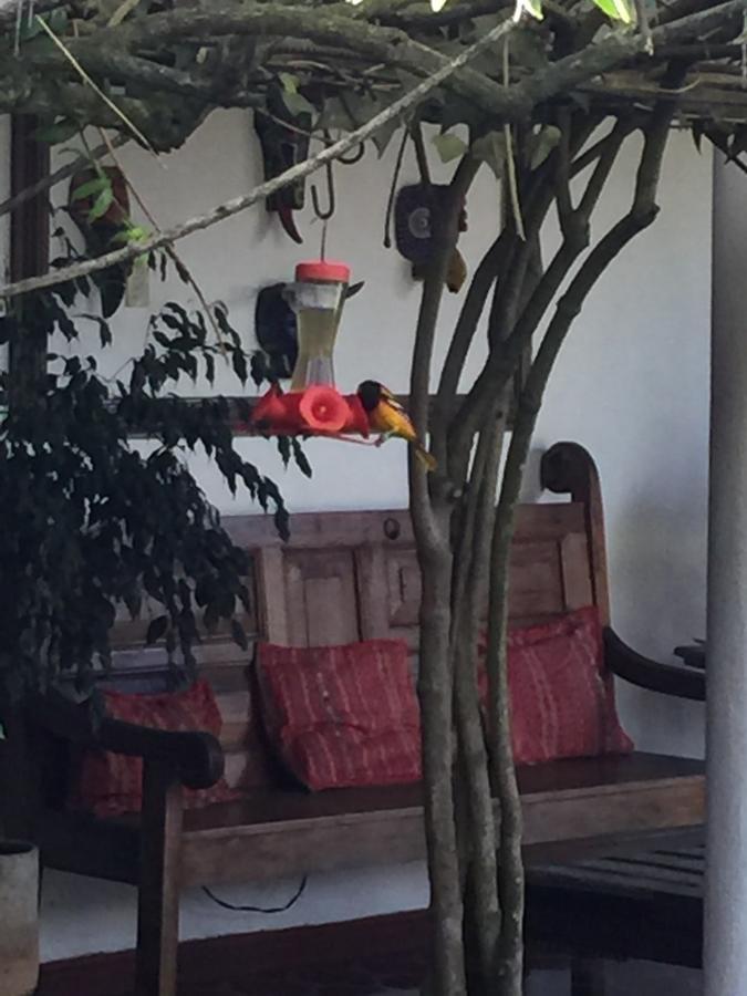 Hotel Casa Duranta Cobán Zewnętrze zdjęcie